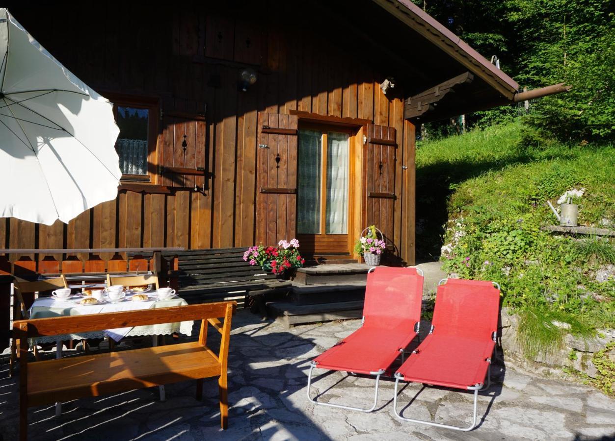 Chalet Katrin Sankt Koloman Exteriör bild